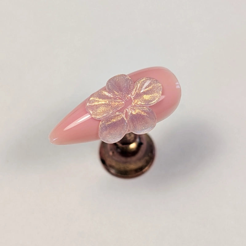 Solid Gel - Pearl Aurora