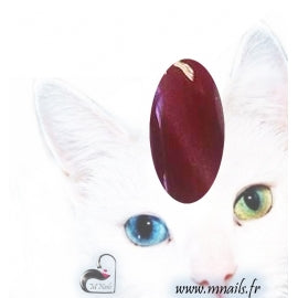 Cat eyes 21