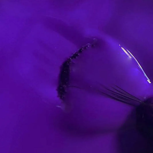 Cool Colors 108 - Violet Vibrant