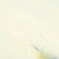 Cool Colors 220 - Jonquille
