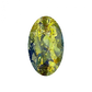Pigment Storm